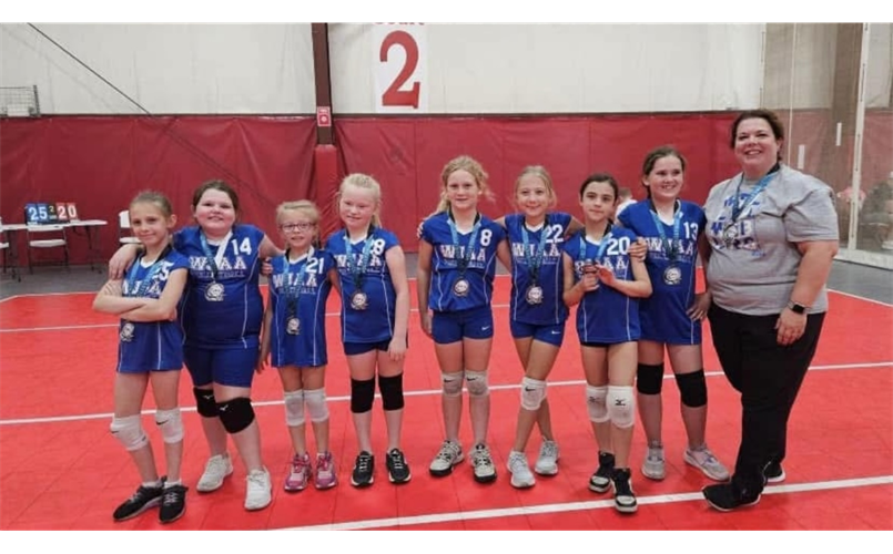 Wildcat Volleyball